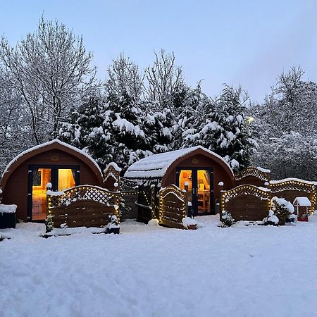 Conifer Cabins فورت ويليام المظهر الخارجي الصورة