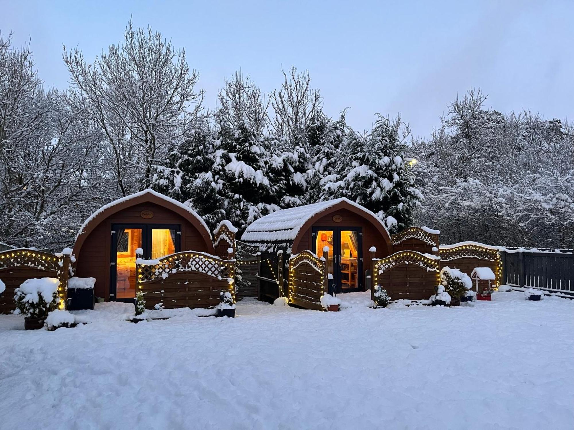 Conifer Cabins فورت ويليام المظهر الخارجي الصورة