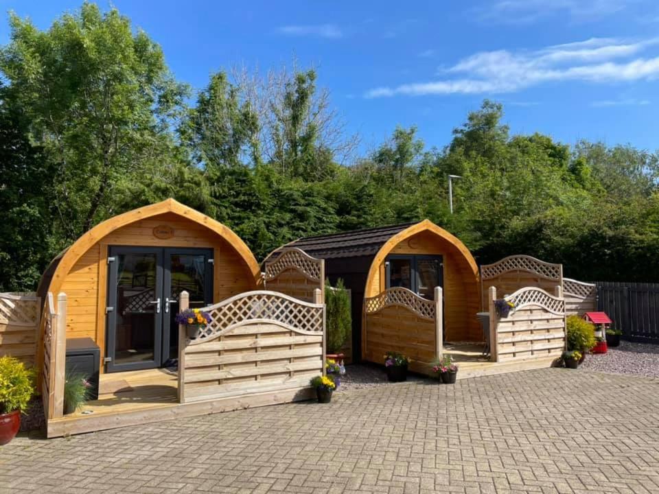 Conifer Cabins فورت ويليام المظهر الخارجي الصورة